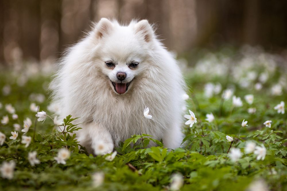 Photograph by Wiktor Kulesa