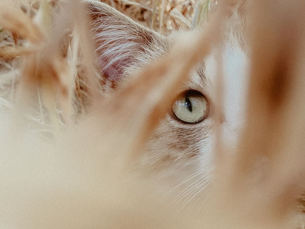 Photograph by Андрей Васильев