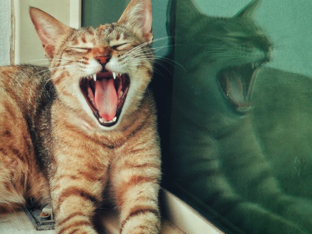 Photograph by Peter Anthony Lee