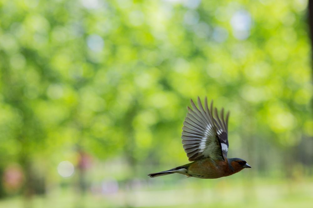 Photograph by Ольга Станкова