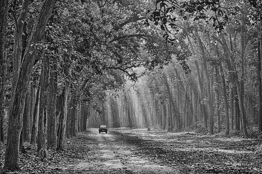 Фотография автора Sudipta Chakraborty