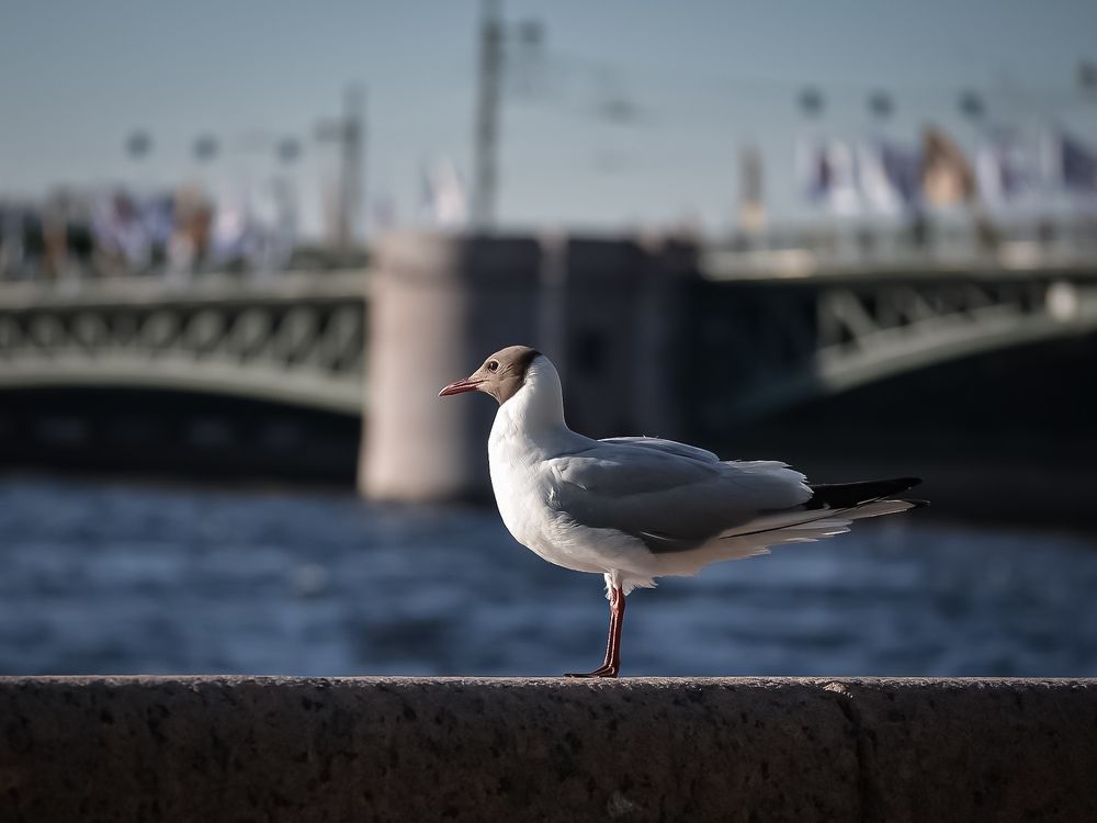 Photograph by Marina Tishina