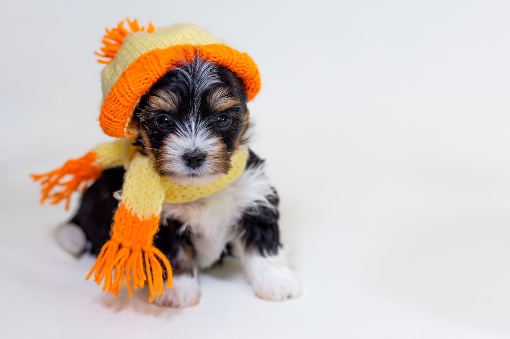 Photograph by Оксана Шаяхметова