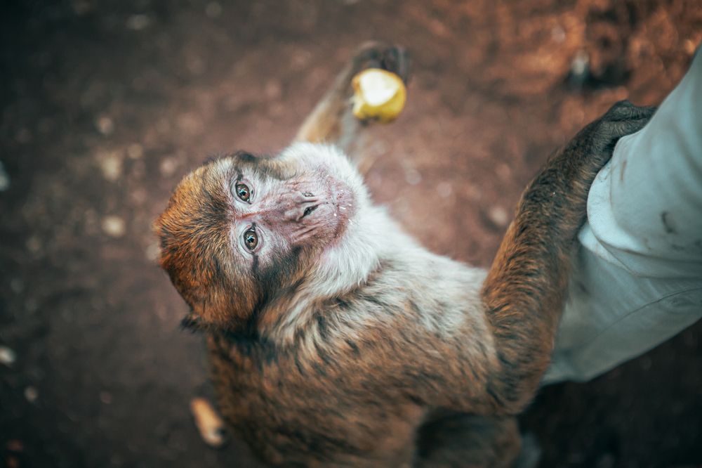 Photograph by Светлана Саиди