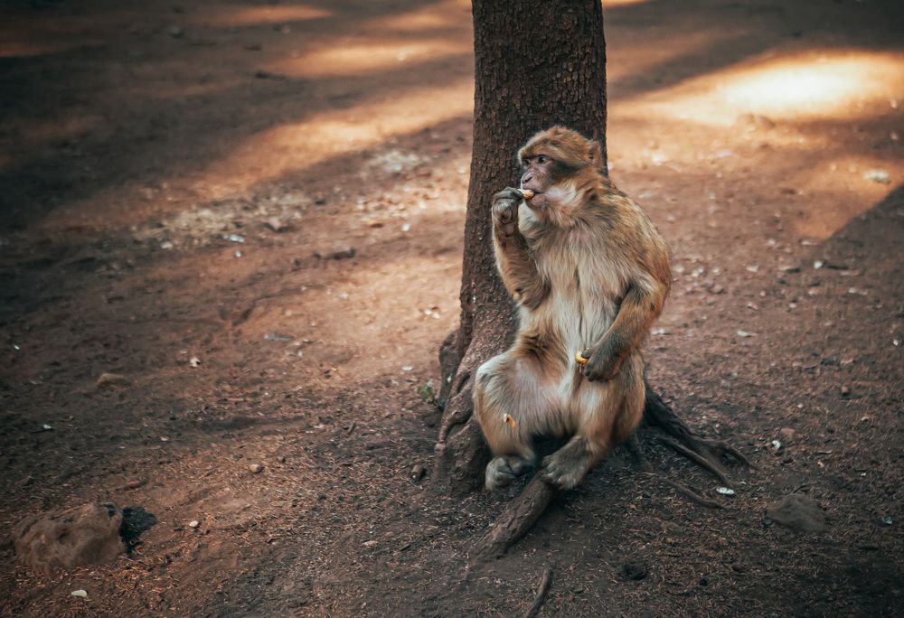 Photograph by Светлана Саиди