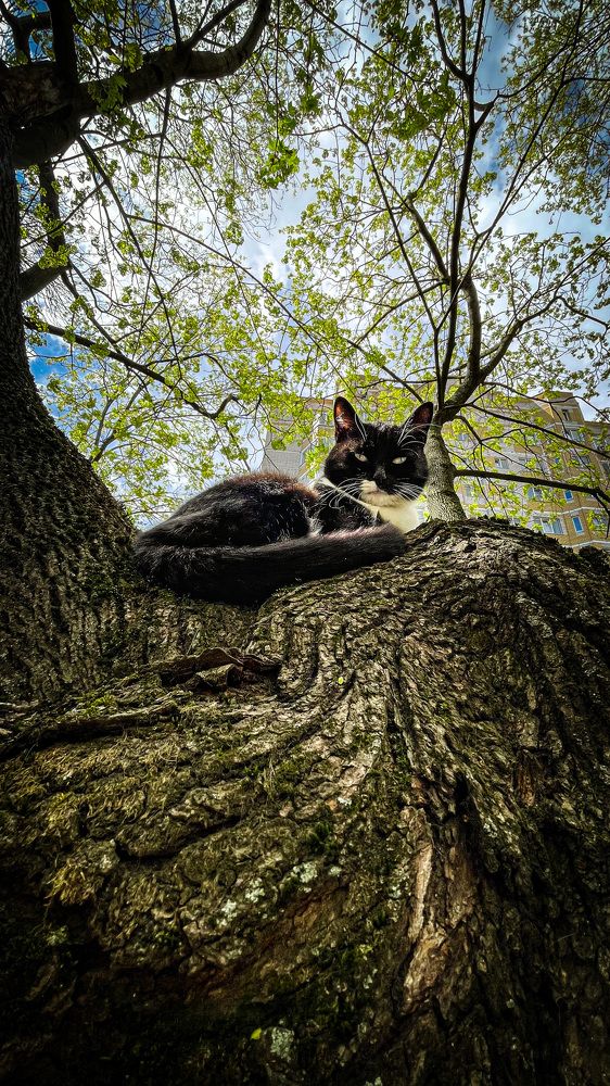 Фотография автора Евгений