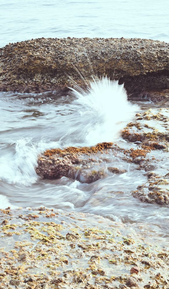 Photograph by Натали Озкан