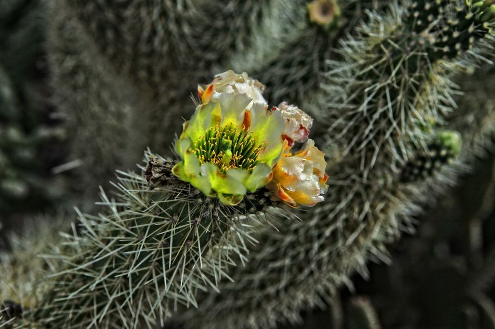 Photograph by Анвар Сабиров