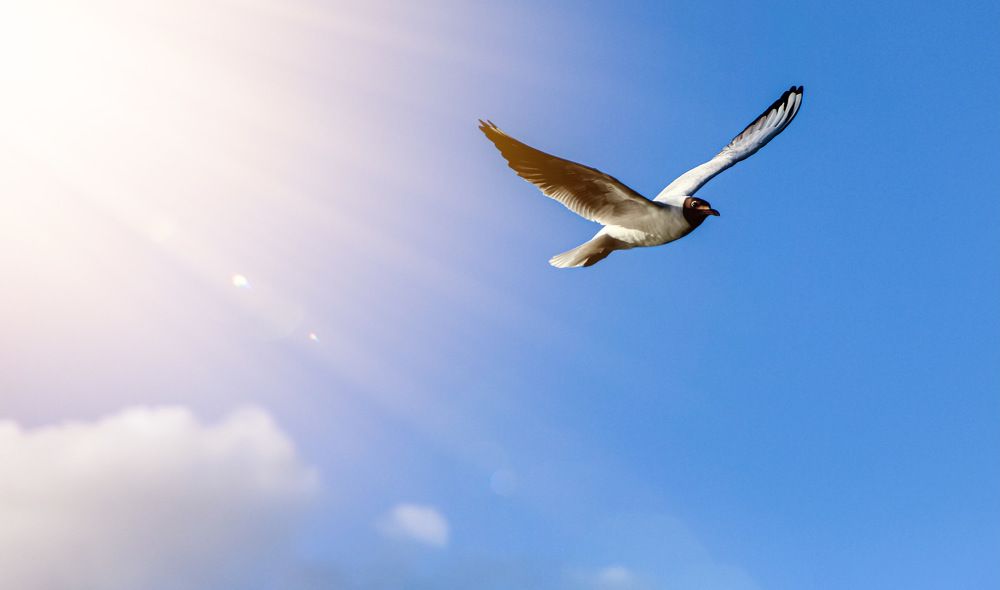 Фотография автора Евгений Кузнецов