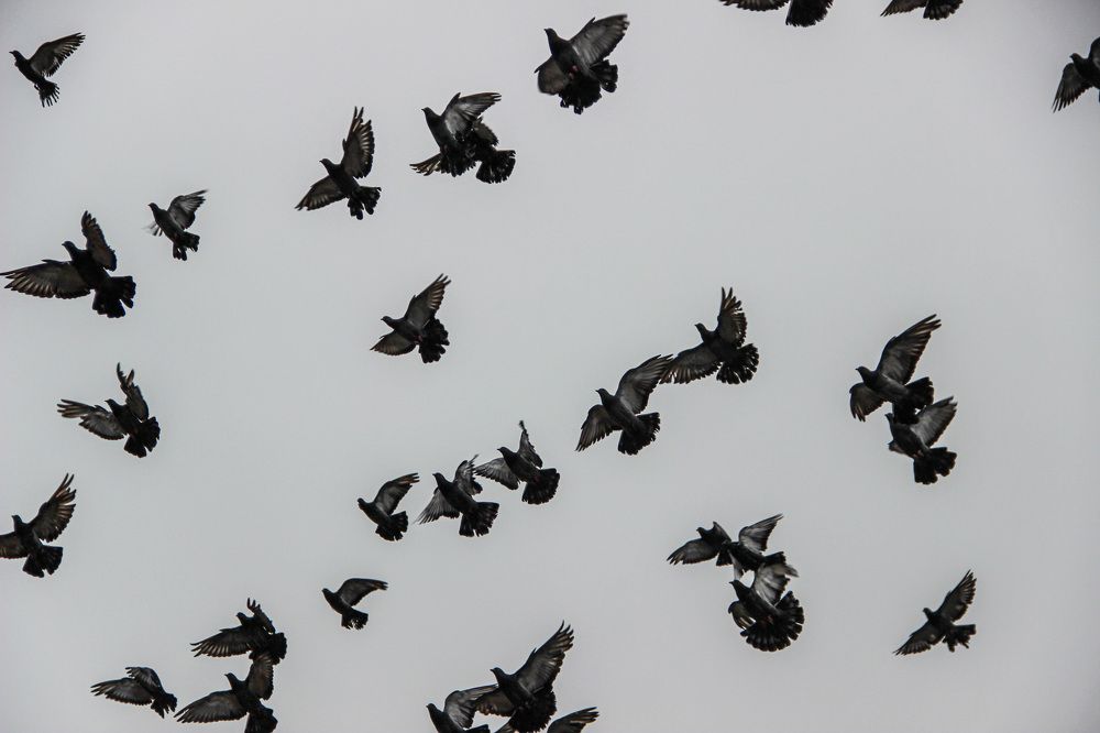 Фотография автора Евгений Кузнецов