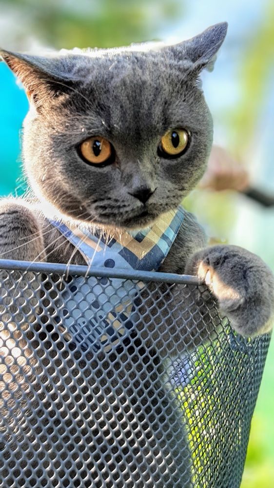 Photograph by Сергей