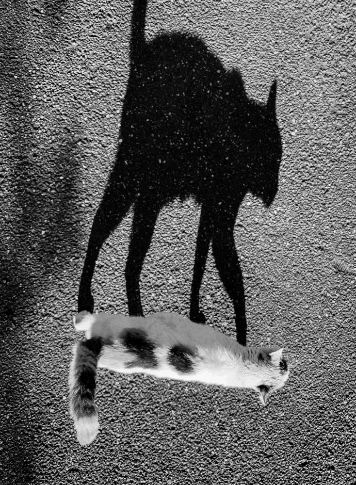 Photograph by Андрей Васильев