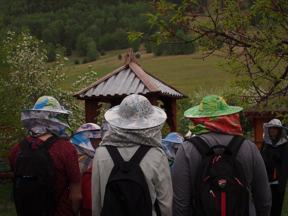 Пасека "Медом в ухо"