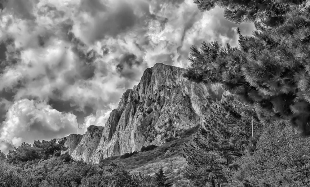 Photograph by Анна Кривицкая