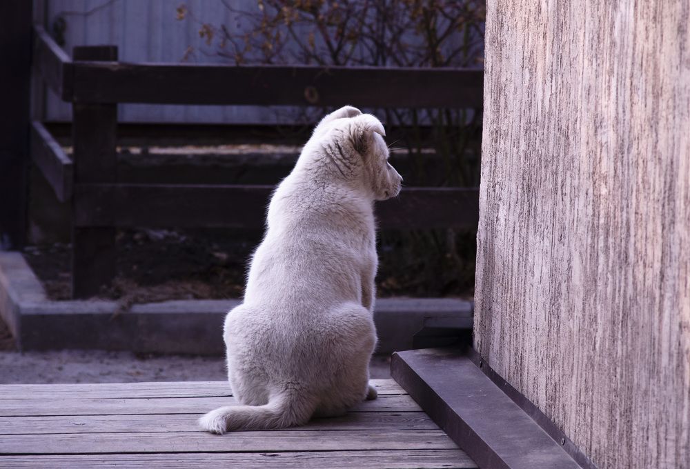 Photograph by Farkhad