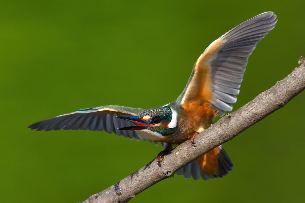 Photograph by Вячеслав Ладанов