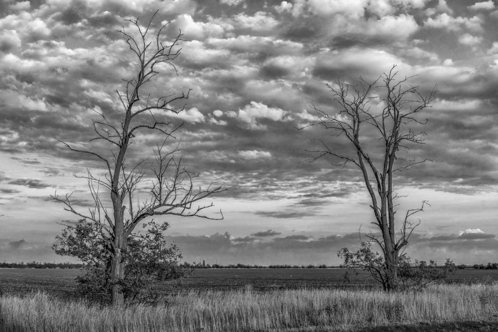 Photograph by Анна Кривицкая