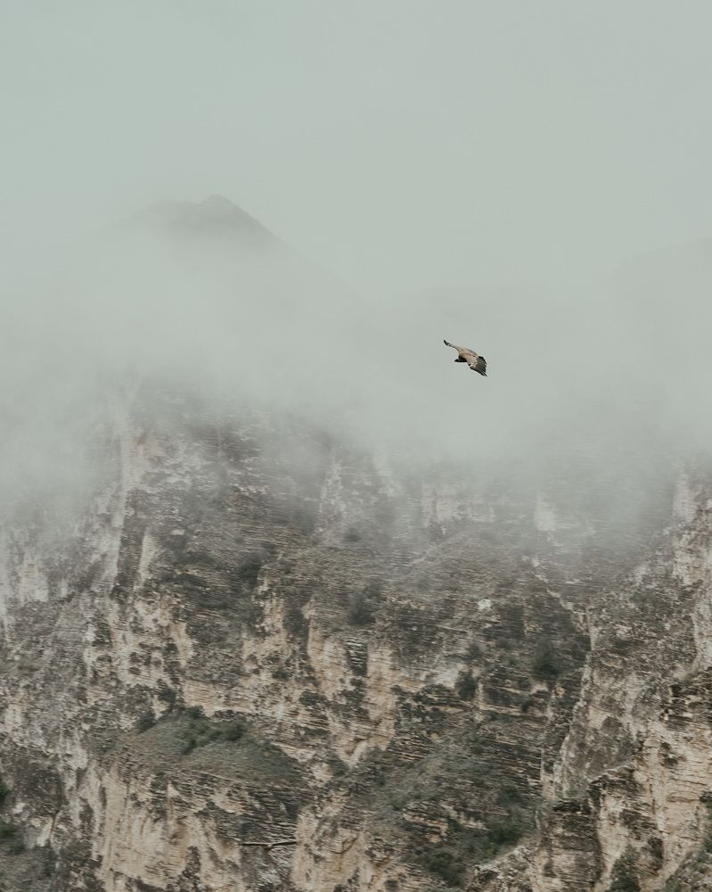 Photograph by Екатерина Микрюкова