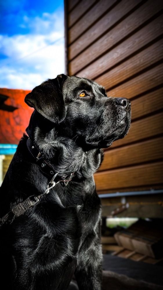 Фотография автора Евгений Кузнецов