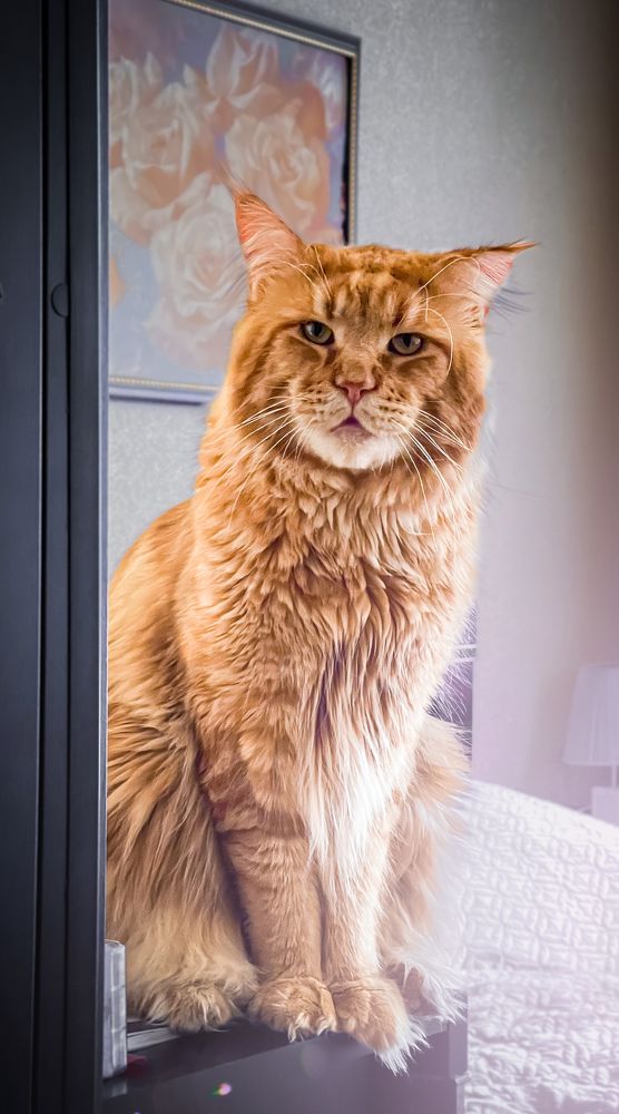 Фотография автора Евгений Кузнецов