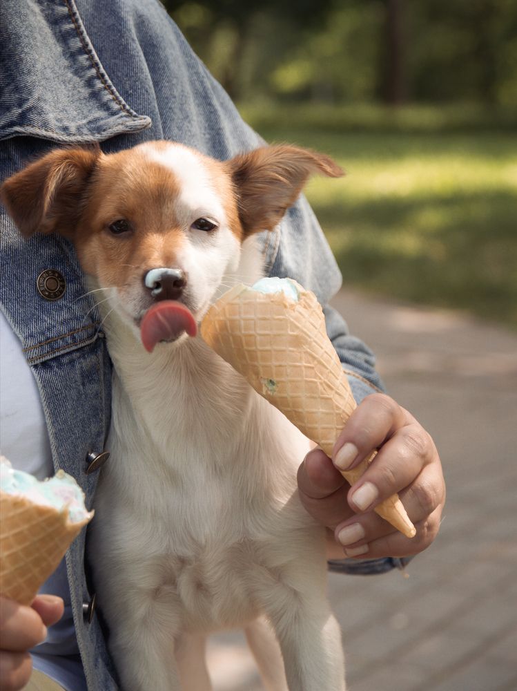 Photograph by Елена Лукьянова