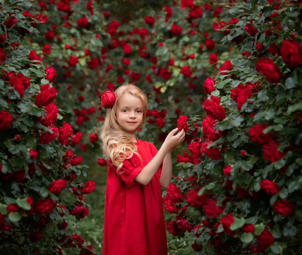 Фотография автора Юлия Ковач