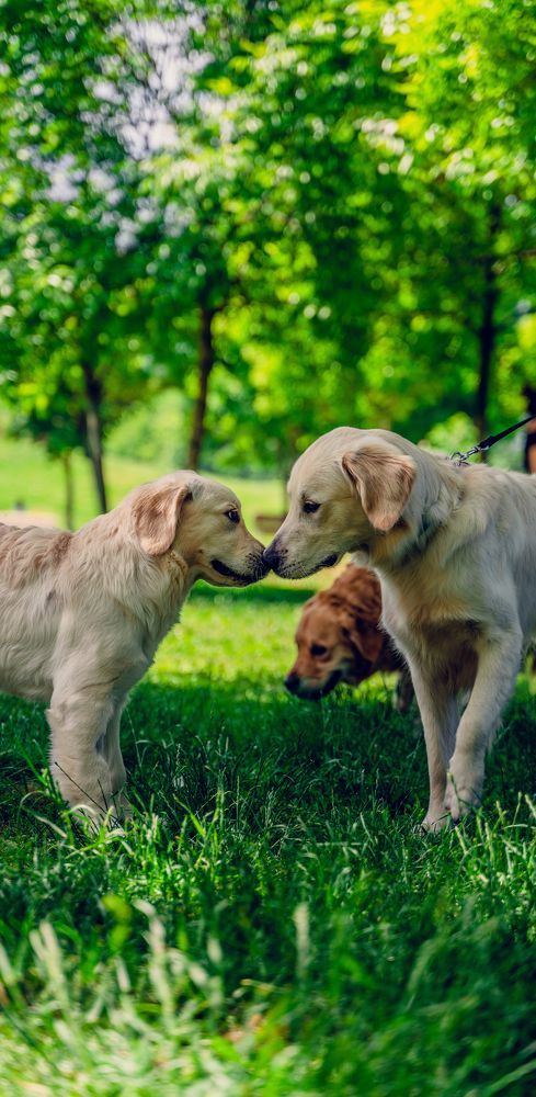 Photograph by Marin Karastoianov