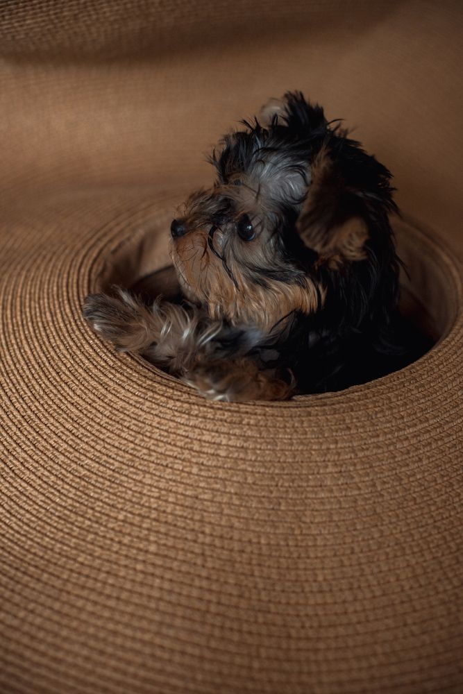 Фотография автора Екатерина Ковтун