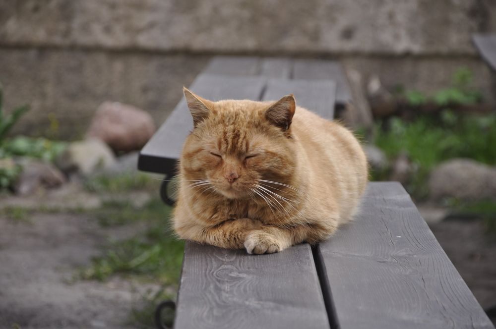 Photograph by Ольга Струкалина