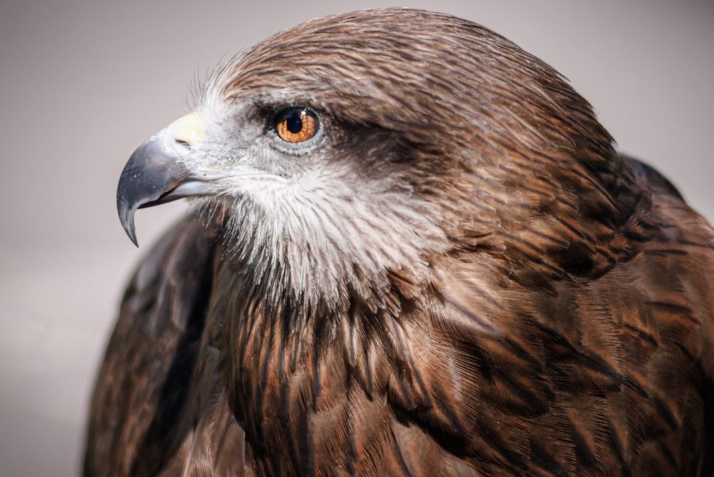 Photograph by Кирилл Богомазов