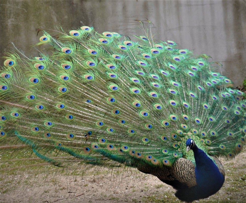 Photograph by Ольга Струкалина