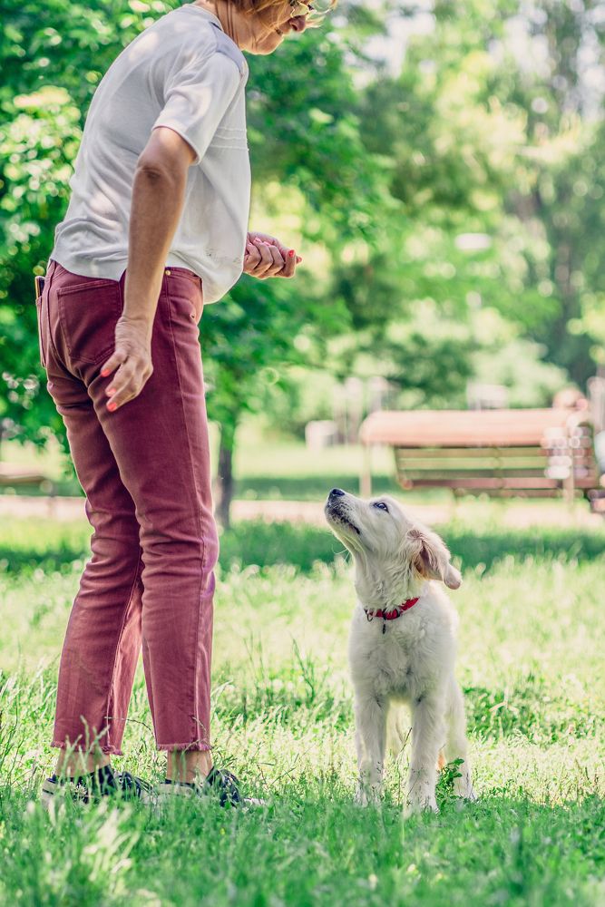 Photograph by Marin Karastoianov