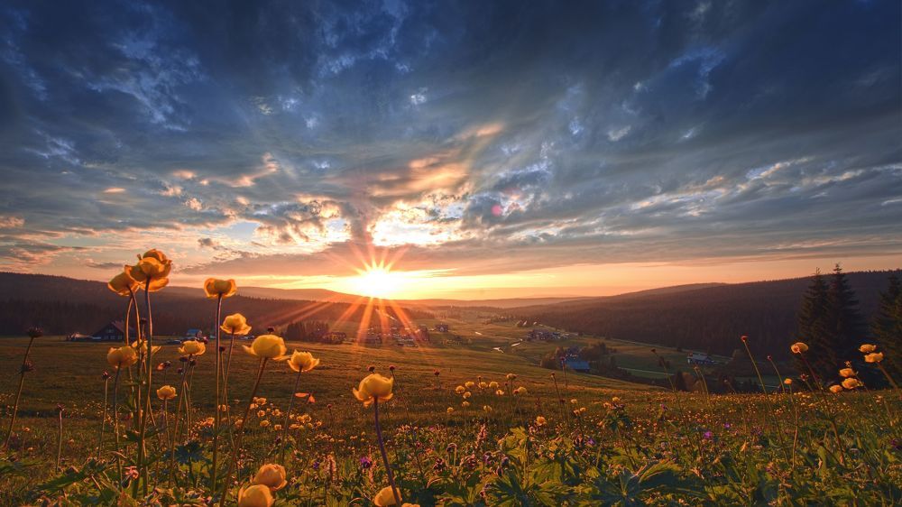 Photograph by Jan Musil