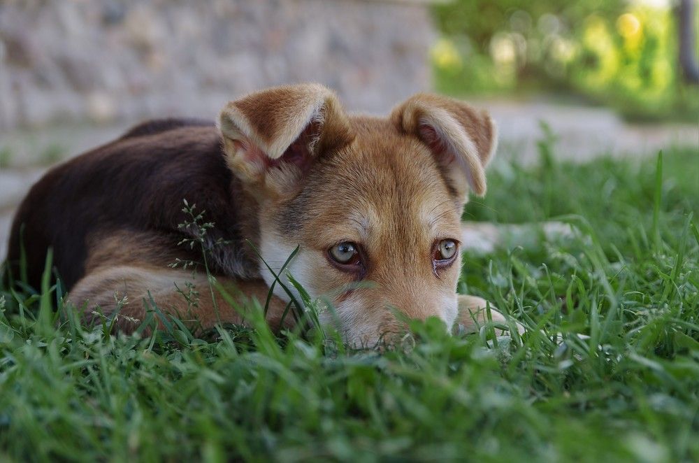 Photograph by Александр Калышенко
