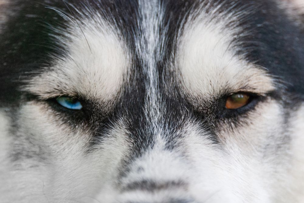 Photograph by Александр Калышенко