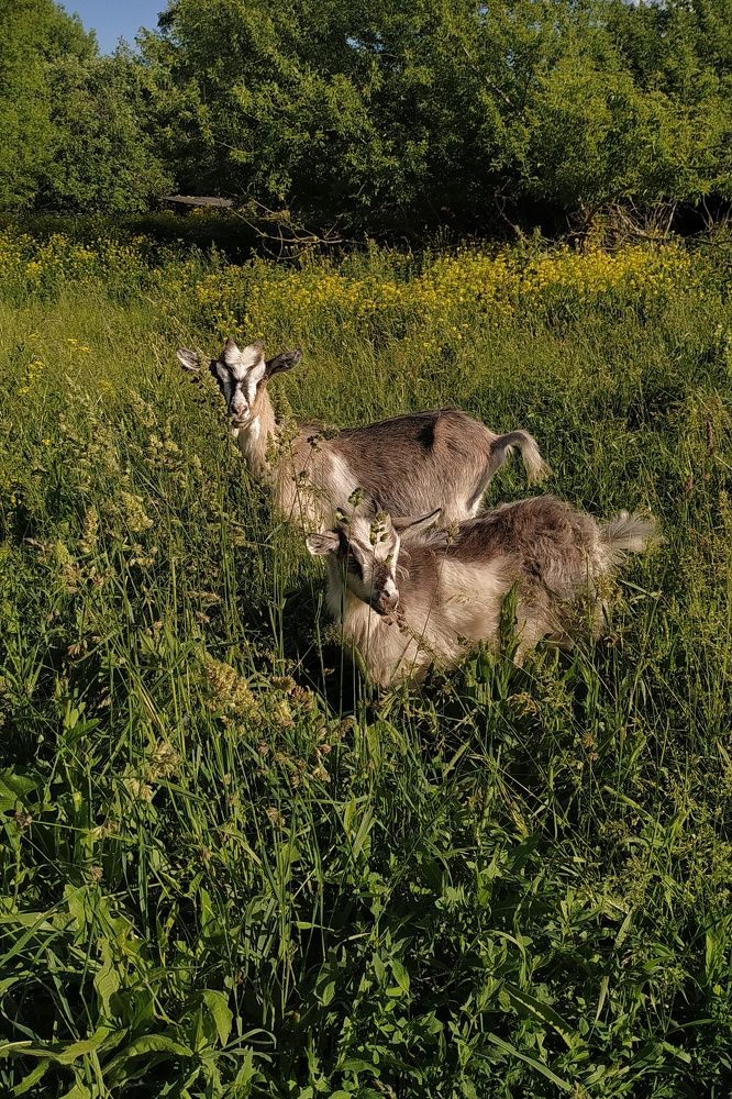 Photograph by Наташа Андреева