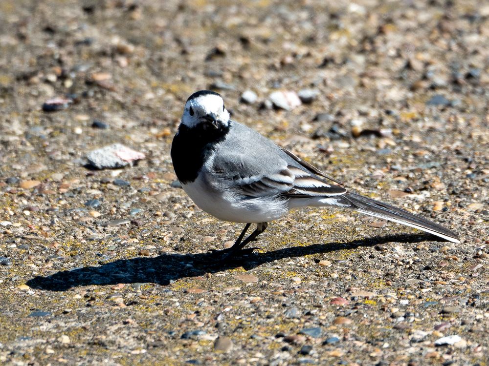 Photograph by Сергей