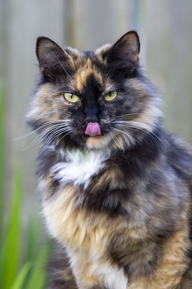 Photograph by Вячеслав Орос