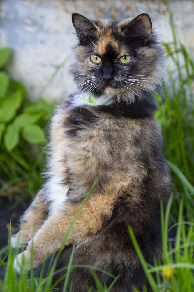 Photograph by Вячеслав Орос