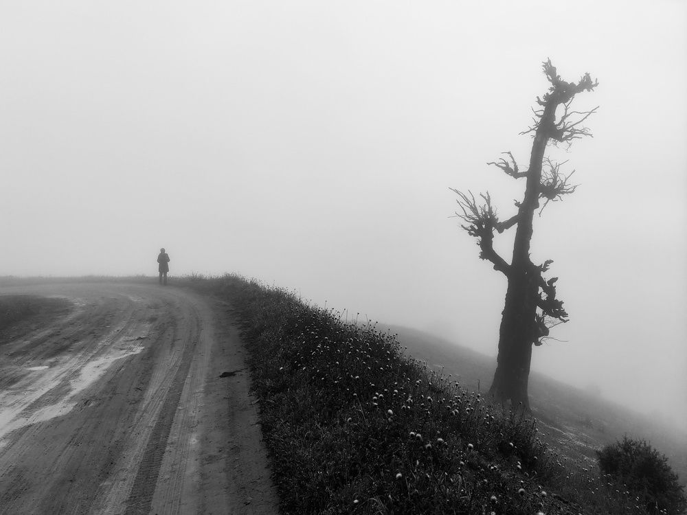 Photograph by Mohammad reza Falah