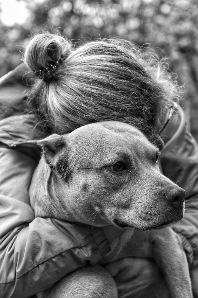 Photograph by Elena Starodvorskaya