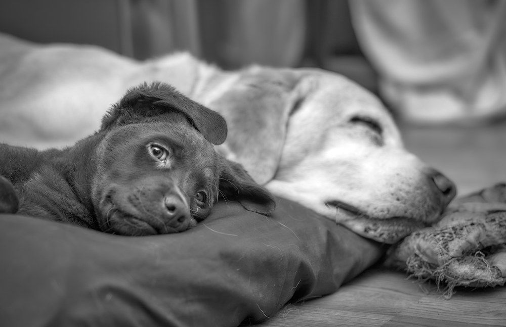 Photograph by German Dario Escobar Alvarez