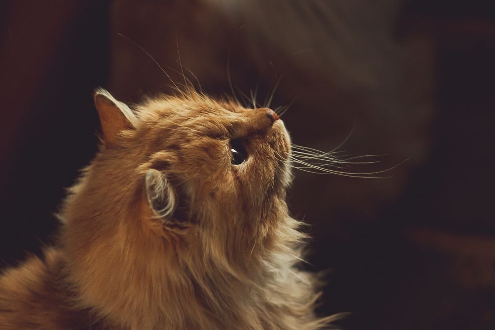 Photograph by Анна