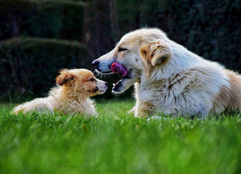 Photograph by Mohammad reza Falah