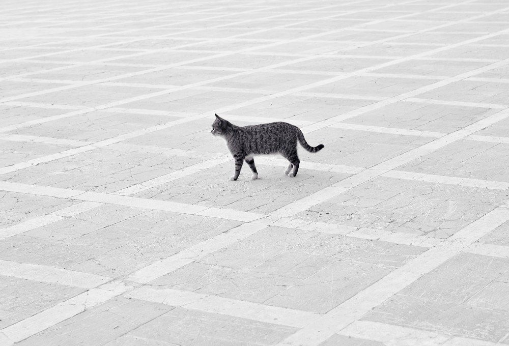 Photograph by Mohammad reza Falah