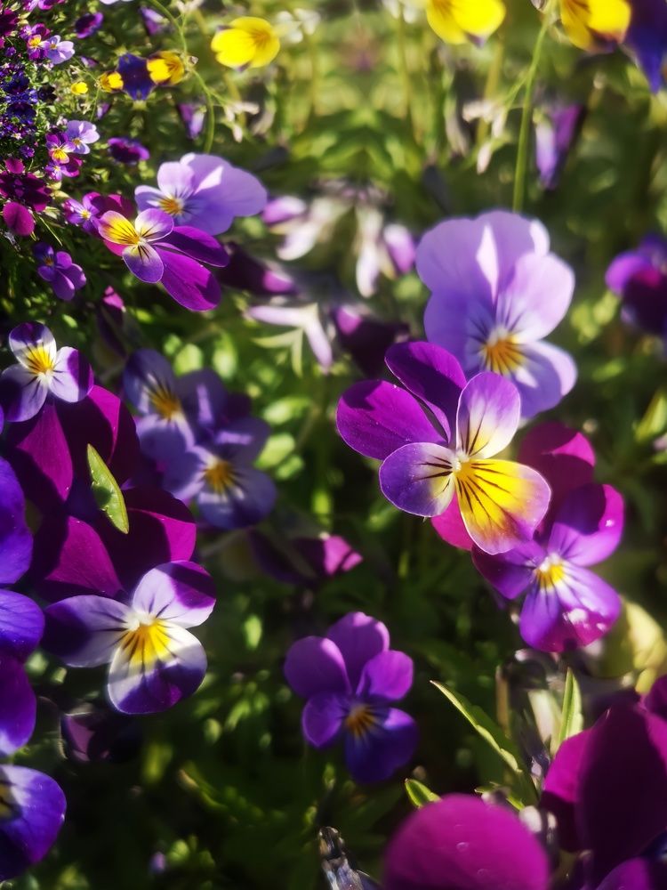 Photograph by Татьяна Чернышова