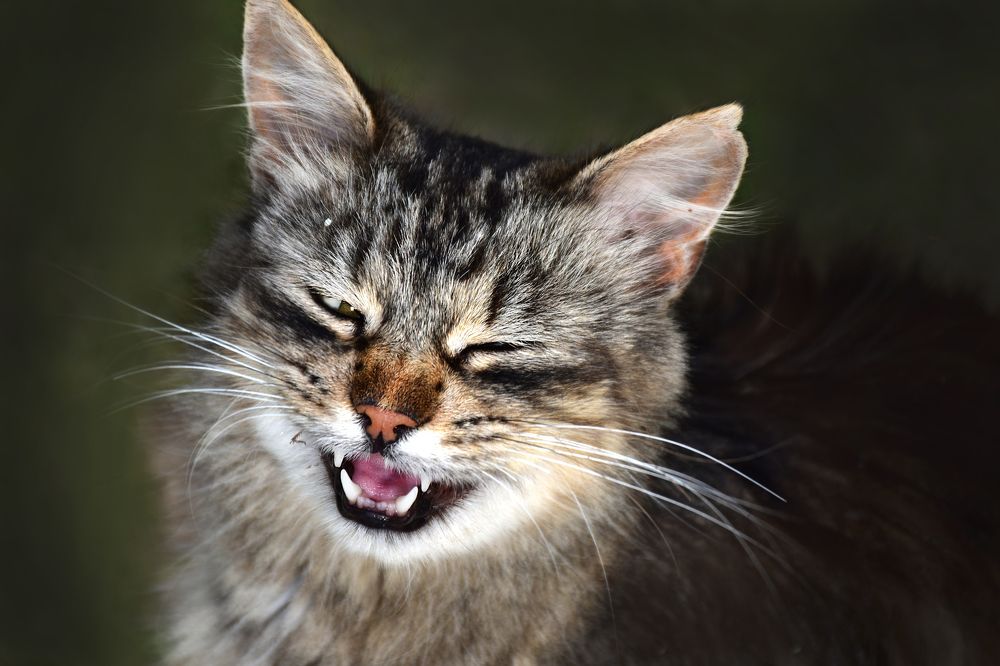 Photograph by Aliaksandra Klimchuk