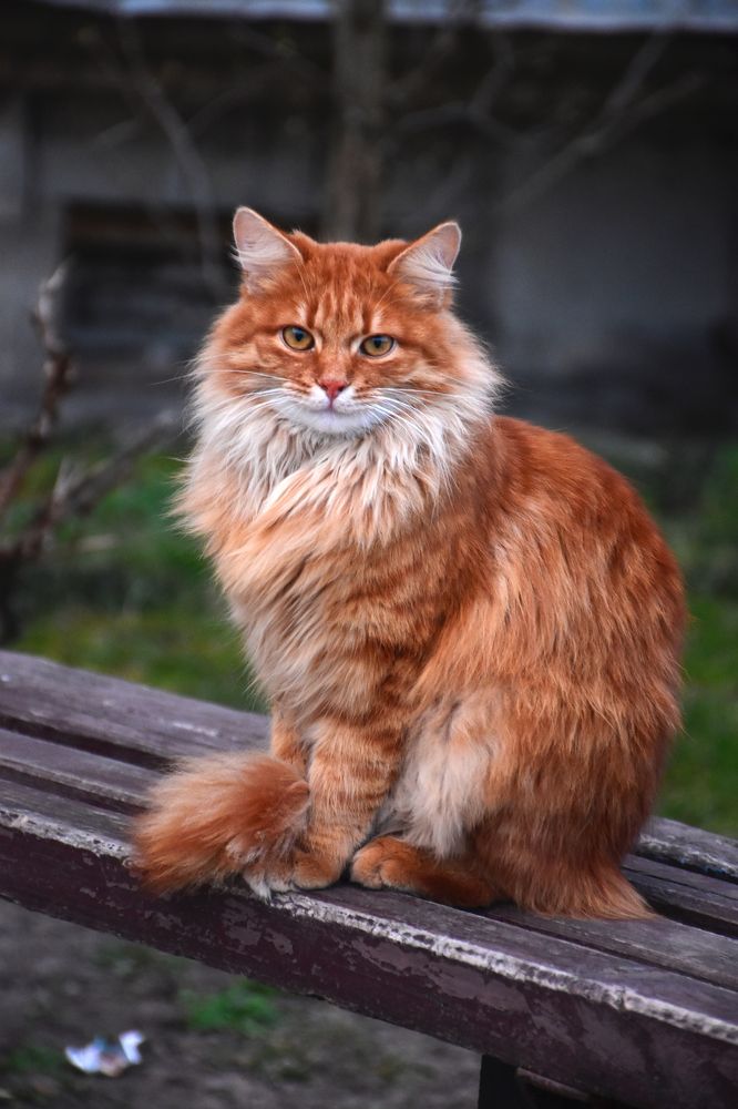 Photograph by Aliaksandra Klimchuk