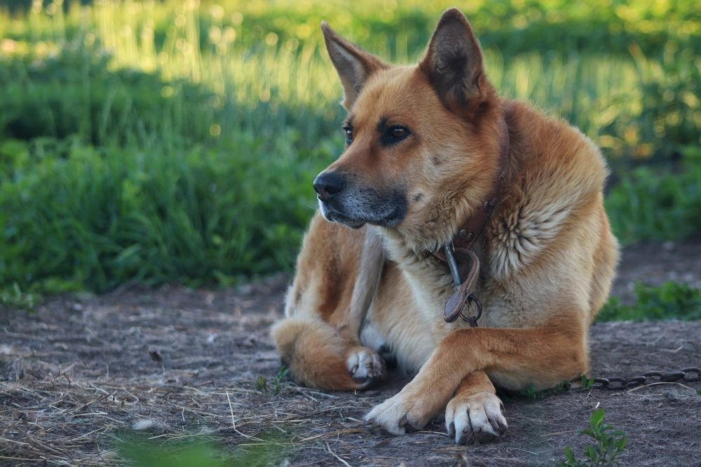 Photograph by Анна