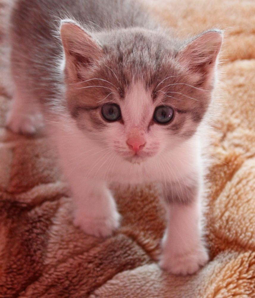 Photograph by Марина Ильева